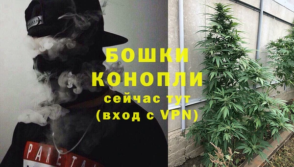 бошки Богданович